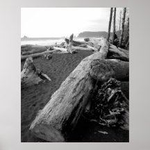 bois de flottage 2 de guerre biologique affiche