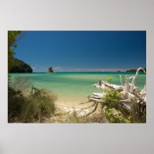 Bois de flottage affiches