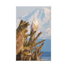 Bois de flottage arctique de hibou, de plage de Mi Toile Tendue Sur Châssis