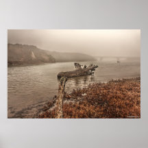 Bois de flottage dans la copie de l'eau posters