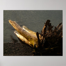 Bois de flottage dans le miel d'ange de © d'impres affiches