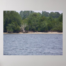 Bois de flottage posters