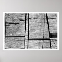 Bois de plage poster
