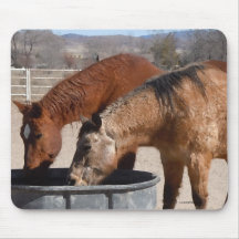Boisson assoiffée de chevaux à la cuvette de l'eau tapis de souris