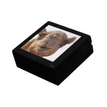 Boîte-cadeau de chameau coffret cadeau
