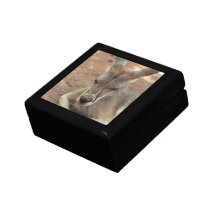 Boîte-cadeau de repos de kangourou boîte à bijoux