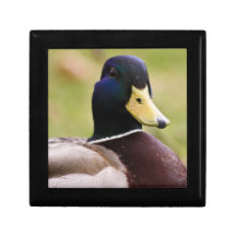Boîte-cadeau jaune et grise de canard boîte à bijoux