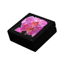 Boîte-cadeau rose de floraison d'orchidée coffret cadeau