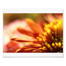 Bokeh orange photographes