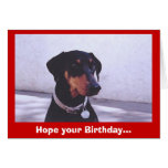 Bon anniversaire de Dog~gone… Carte De Vœux
