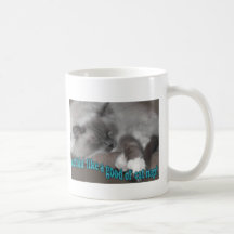 bon petit somme de chat d'ol tasses à café