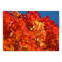 Bon thanksgiving ! Feuille d'orange de vacances de