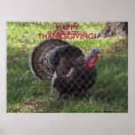 BON THANKSGIVING ! , (mangez un hamburger) affiche