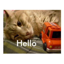 Bonjour avec la carte postale de Kitty