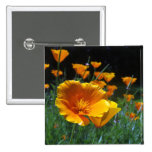 Bonjour boutons de pavots badges avec agrafe