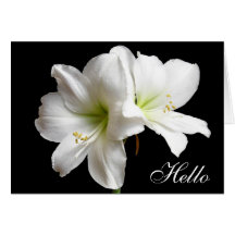 Bonjour carte de voeux de fleur de lis blanc sur l