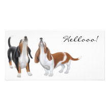 Bonjour cartes photos de chien de basset-hound photocarte