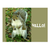 Bonjour, écureuil debout mignon carte postale