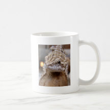 Bonjour lézard tasse
