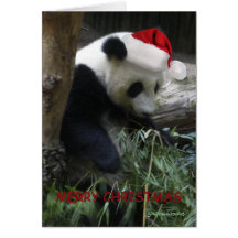 Bonne année de panda de Joyeux Noël ! Cartes De Vœux