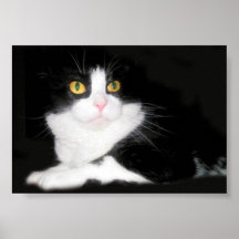 Bootsie doux posters