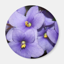 Boquet violet aimants pour réfrigérateur