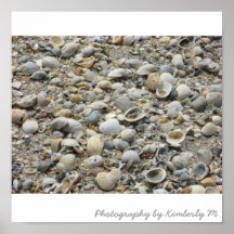 Bord de mer Shell Posters