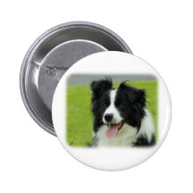 Border collie 9A015D-10 Badge