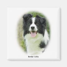 Border collie 9A14D-19 Magnets Pour Réfrigérateur