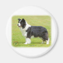 Border collie 9R071D-059 Magnets