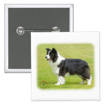 Border collie 9R071D-059 Pin's Avec Agrafe
