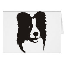 Border collie carte de vœux