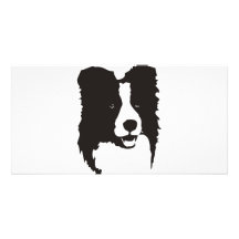 Border collie cartes avec photo