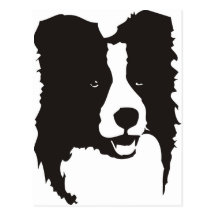 Border collie cartes postales