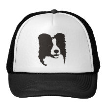 Border collie casquette