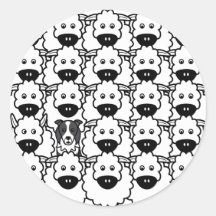 Border collie chez les moutons autocollants ronds