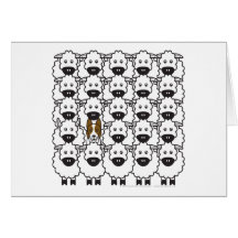 Border collie chez les moutons carte de vœux