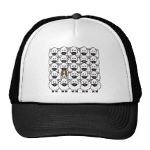 Border collie chez les moutons casquettes de camionneur