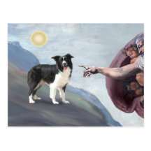 Border collie de Dieu (z) Cartes Postales