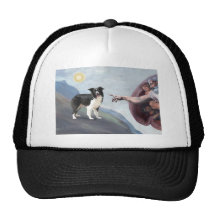 Border collie de Dieu (z) Casquettes De Camionneur