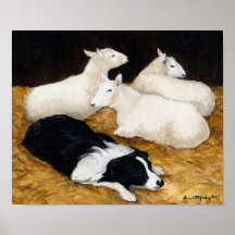 Border collie et copie d'art de chien de moutons posters