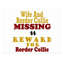 Border collie et récompense absente d'épouse pour  cartes postales