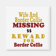 Border collie et récompense absente d'épouse pour  aimants