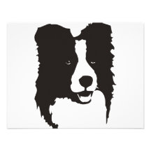 Border collie faire-parts