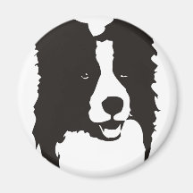 Border collie magnets