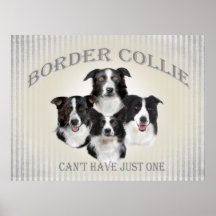 Border collie ne peut pas avoir juste une affiche