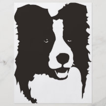 Border collie prospectus personnalisés