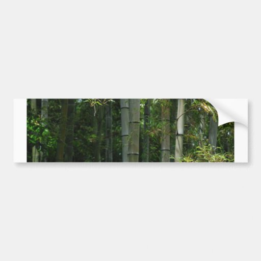 Bosquet en bambou autocollant pour voiture