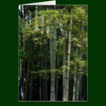Bosquet en bambou cartes