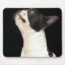 Boston noir et blanc Terrier recherchant Tapis De Souris